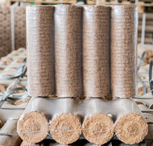 Nestro - дуб, крупным планом