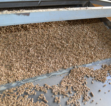 готовая гранула на выходе из линии грануляции